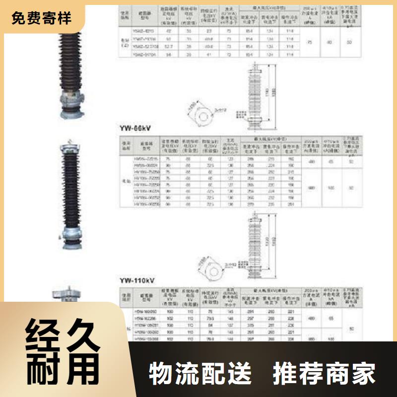 _避雷器HY5WS-16.5/50Q【羿振电力设备】