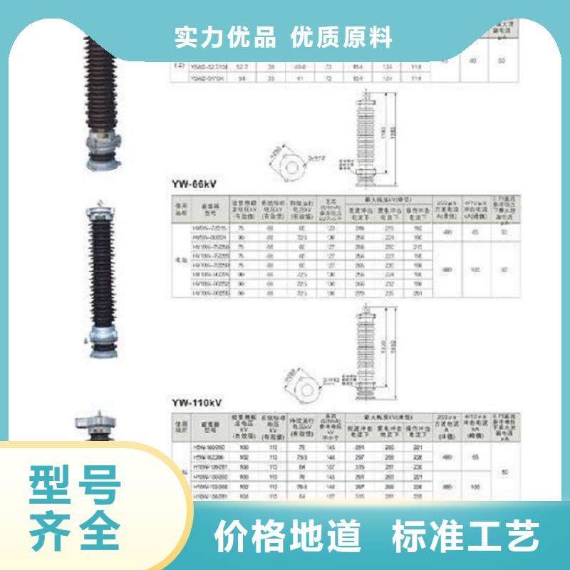 【避雷器】Y5W5-100/260S