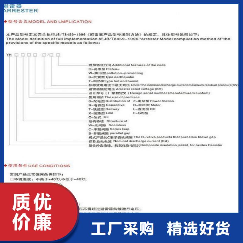 氧化锌避雷器Y5W-51/125欢迎电询