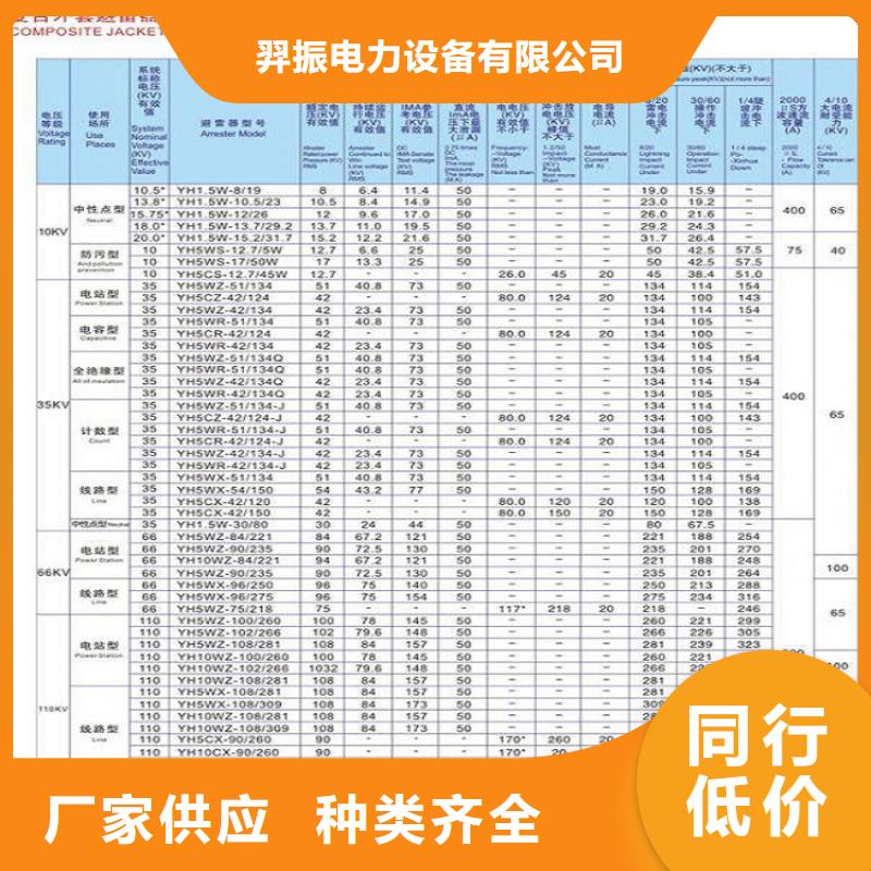 避雷器Y10W5-96/250GY【羿振电力】