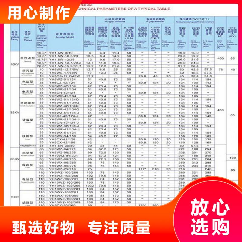 避雷器Y10W-102/266.