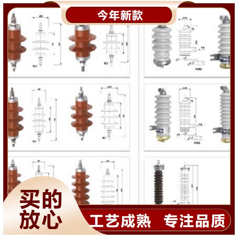 _避雷器YH5WS5-12/35.8L【羿振电力设备】