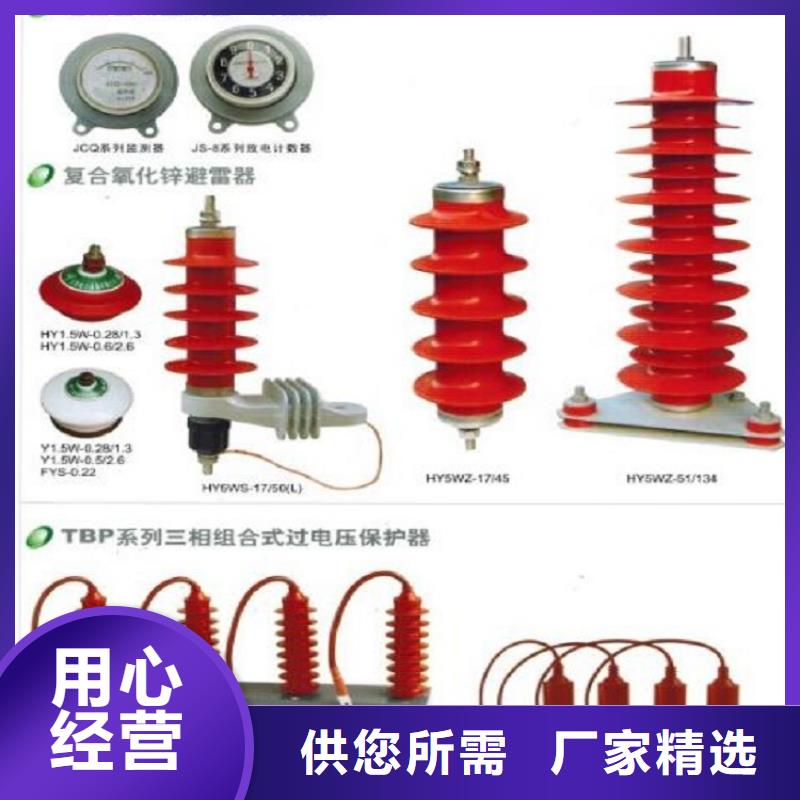 品牌：【羿振电力】避雷器Y10W-102/266