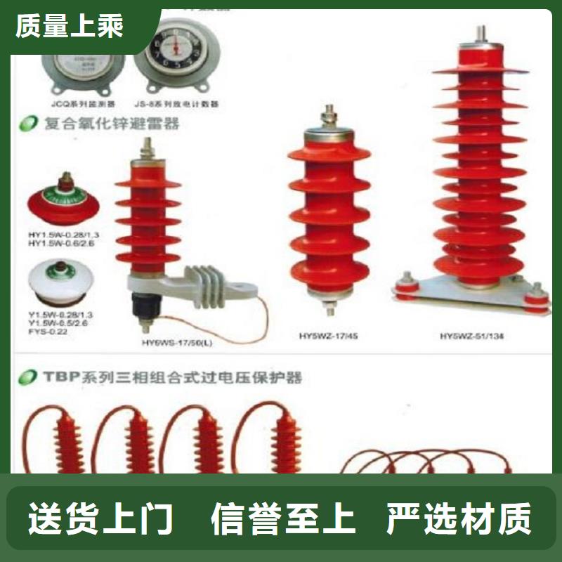 【羿振电力】避雷器YH10WL-96/232