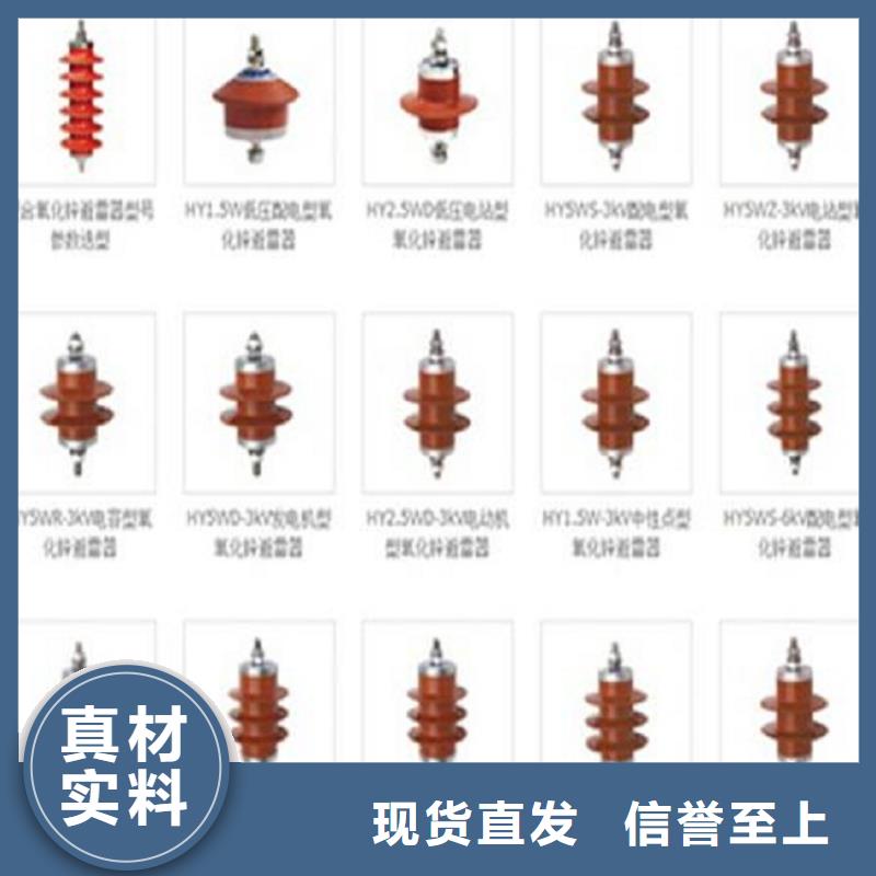 避雷器Y10W-102/266【浙江羿振电气有限公司】