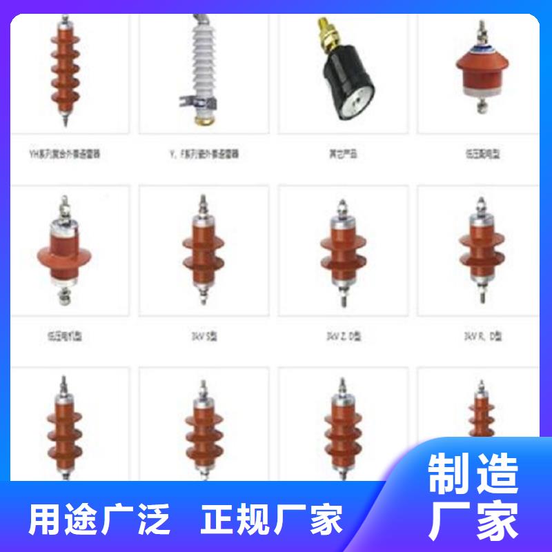 品牌：【羿振电力】避雷器Y10W-96/250