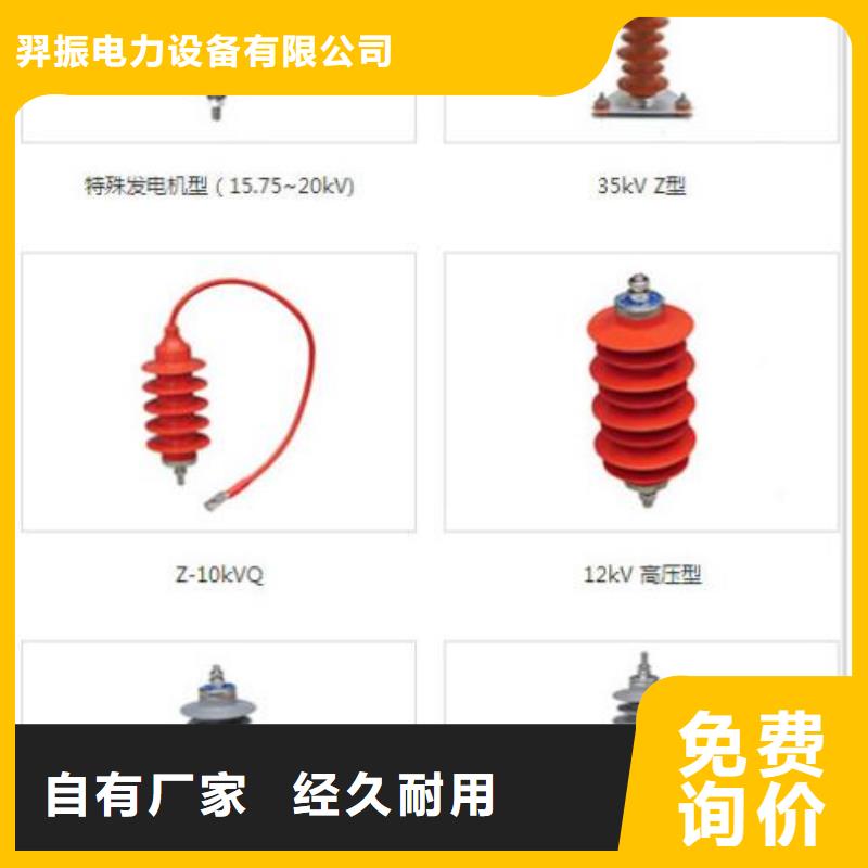 避雷器Y10W1-96/232【羿振电气】