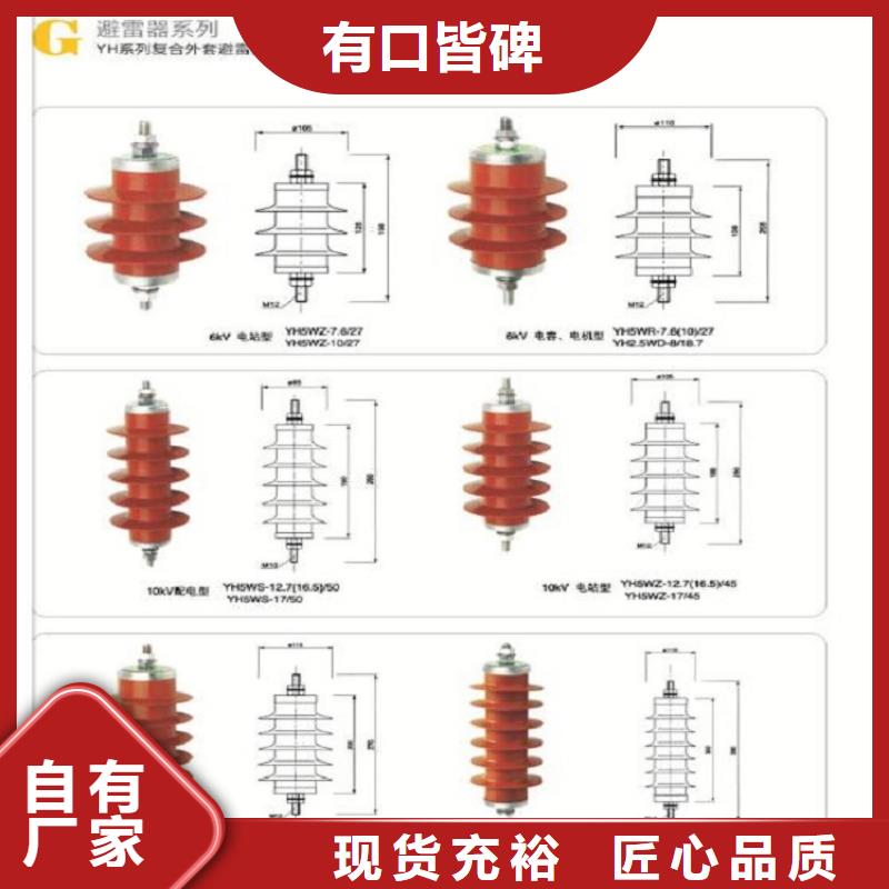 _避雷器Y5W-100/260【羿振电力设备】