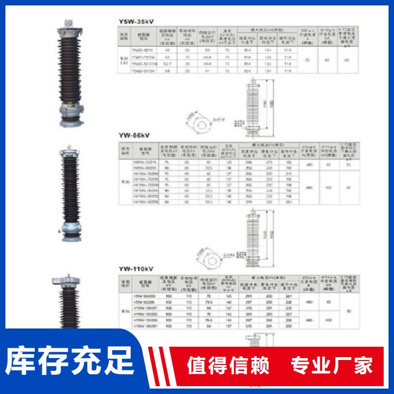 避雷器Y10W5-204/532W浙江羿振电气有限公司