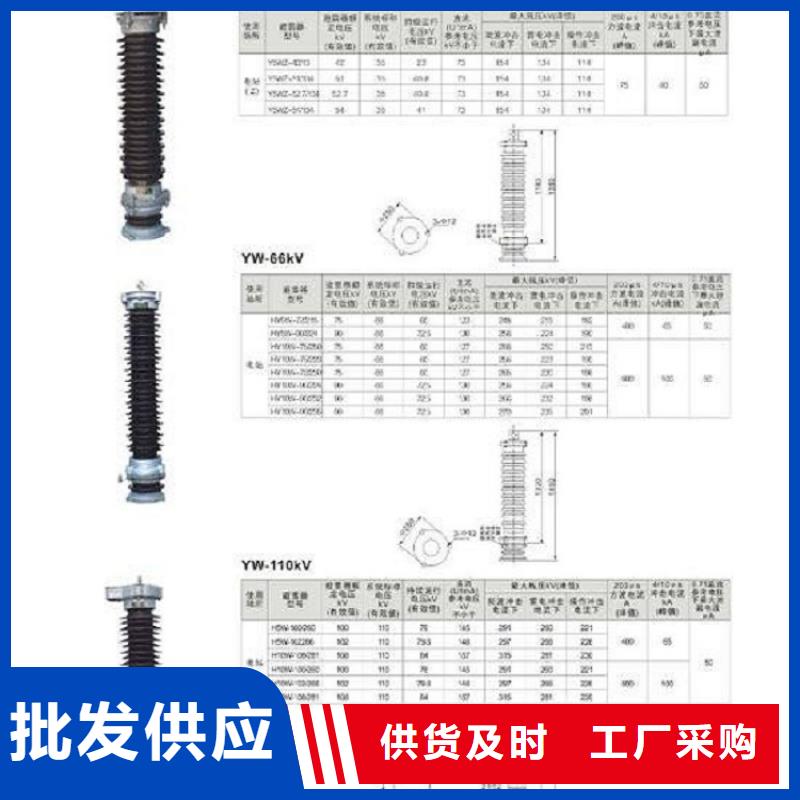 避雷器YH5W1-75/215【羿振电力设备】