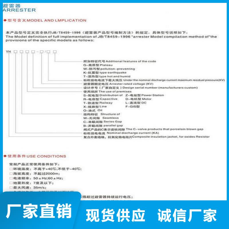 _避雷器Y10W1-96/250(G)W【羿振电力设备】