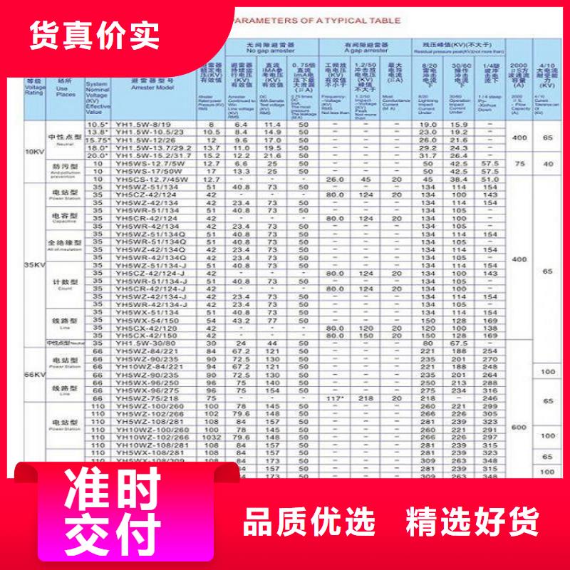 避雷器HY10WZ-90/235浙江羿振电气有限公司