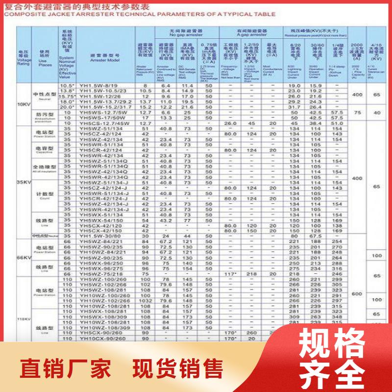 避雷器HY10WX-252/656TD..