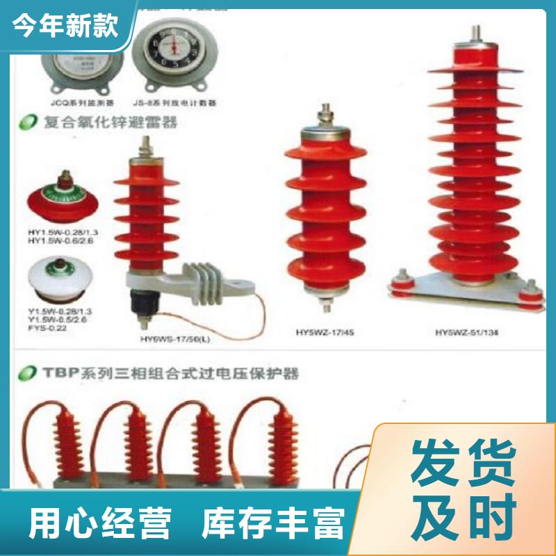 _避雷器YH5WS5-12/35.8L【羿振电力设备】