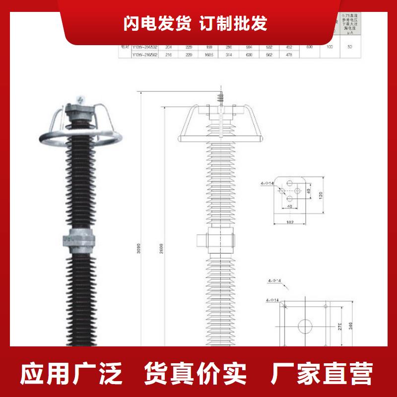 避雷器Y10W-100/260【上海羿振电力设备有限公司】