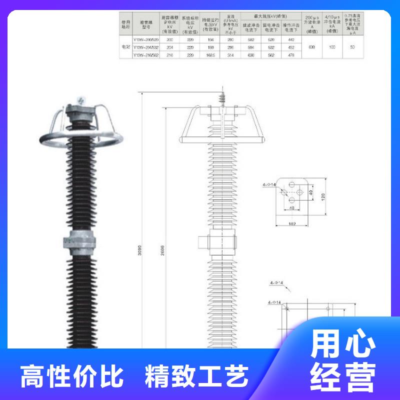 避雷器Y10W5-51/125