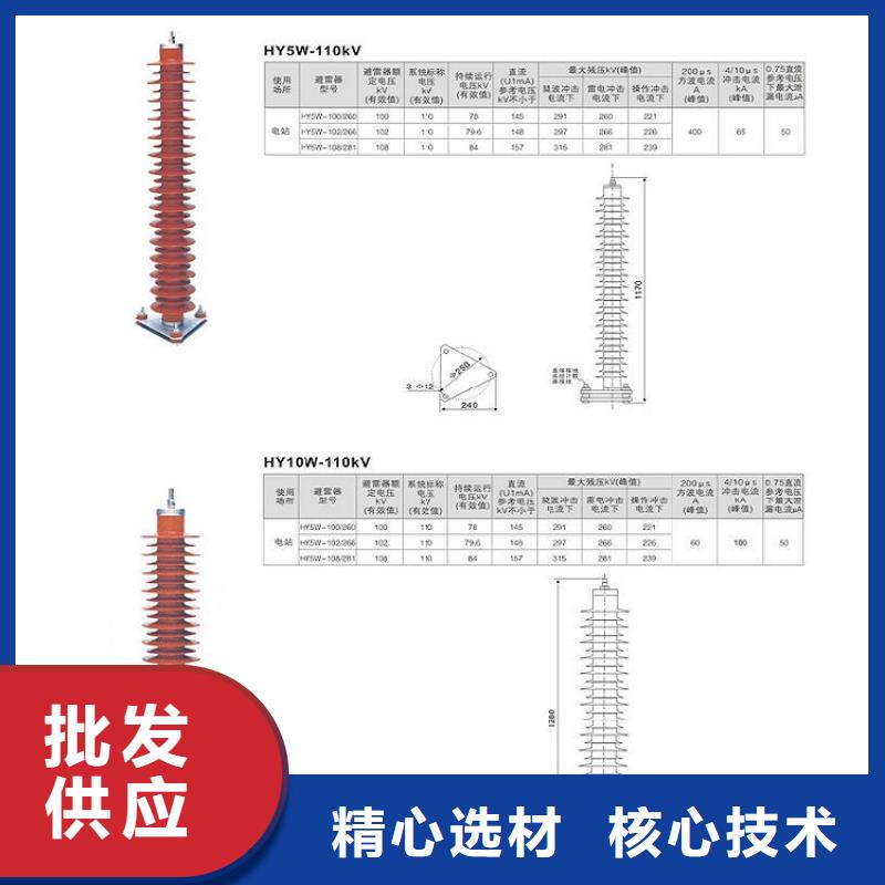 瓷外套金属氧化物避雷器Y10W-200/496