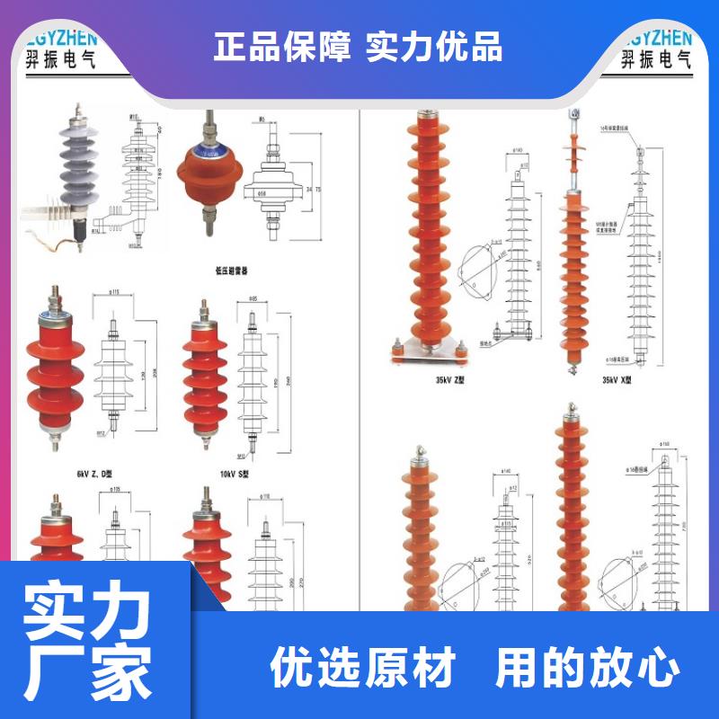 品牌：【羿振电力】氧化锌避雷器Y10W-100/260