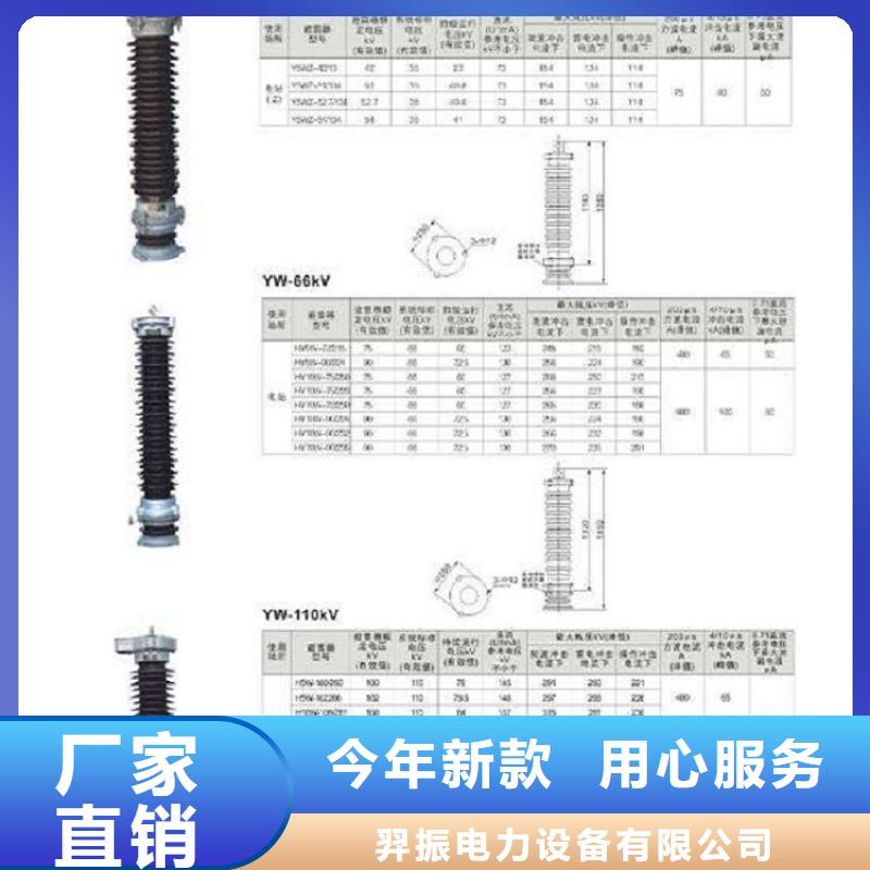 瓷外套金属氧化物避雷器Y10W-200/496