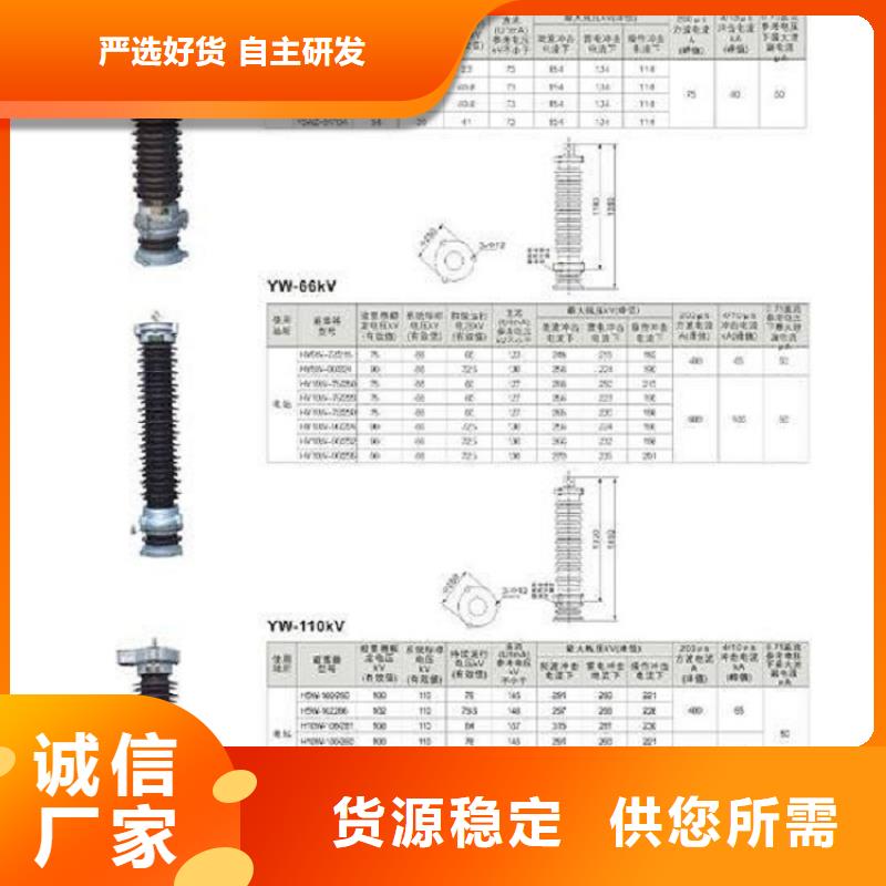 避雷器Y5W1-102/266GY上海羿振电力设备有限公司