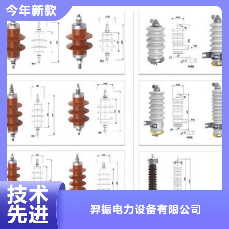 氧化锌避雷器YH10WZ-51/134G【上海羿振电力设备有限公司】