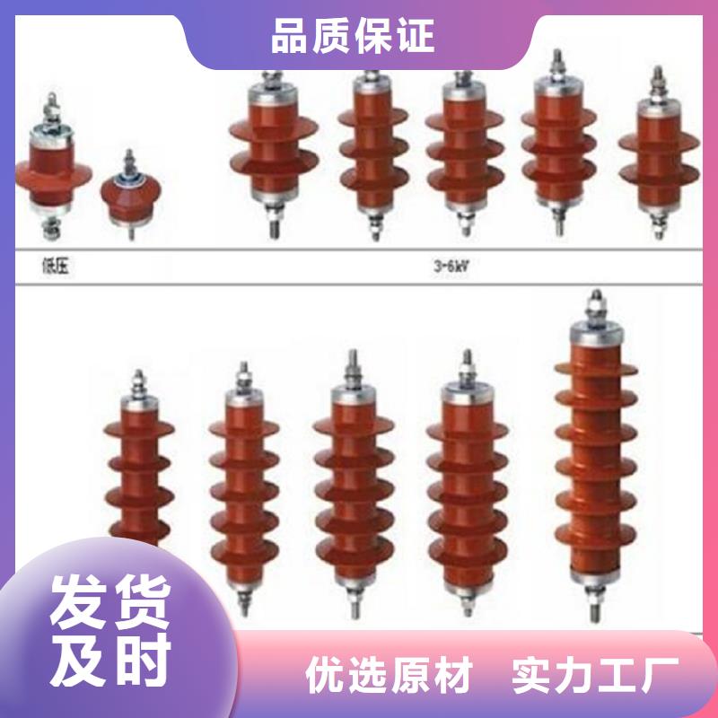 避雷器Y10W5-51/134【羿振电力】