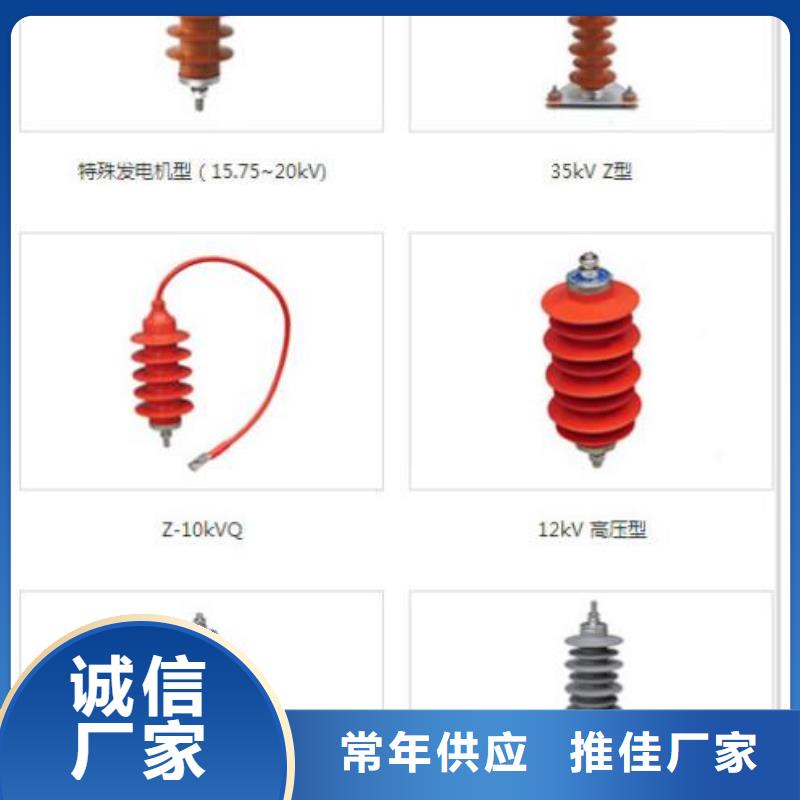 避雷器Y10W-200/496