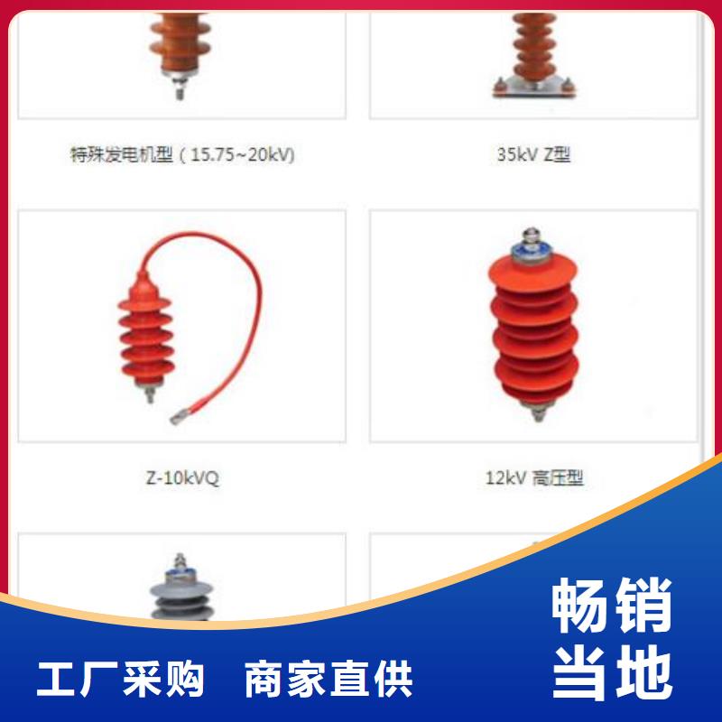 瓷外套金属氧化物避雷器Y10W-192/500