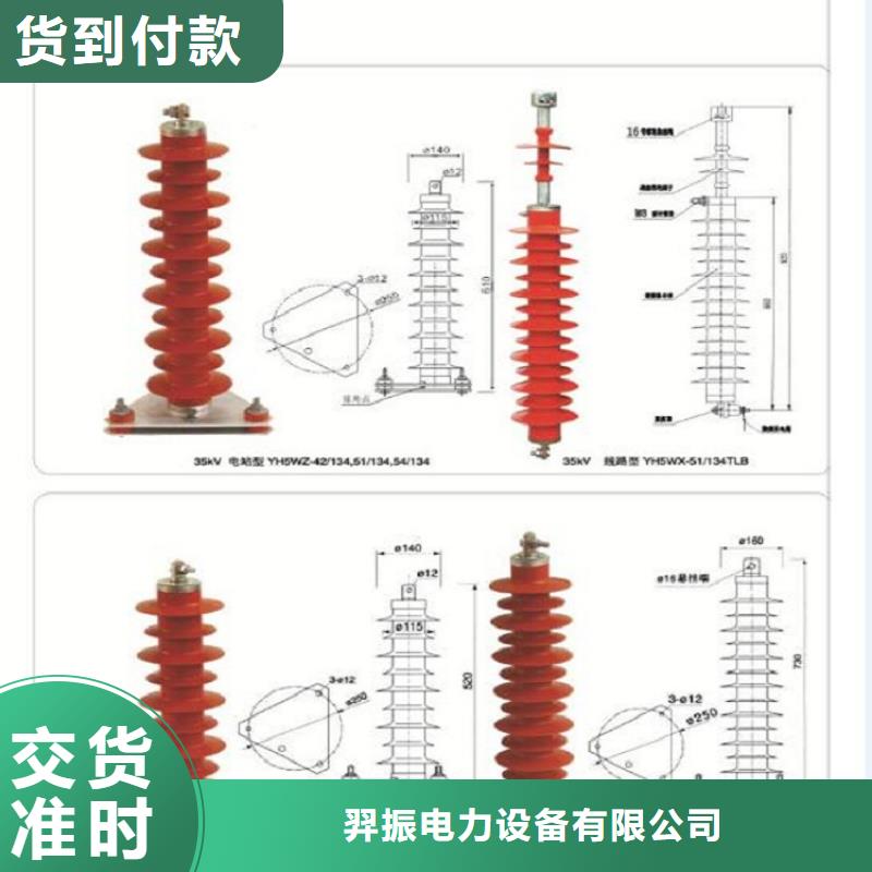 瓷外套金属氧化物避雷器Y10W-200/496