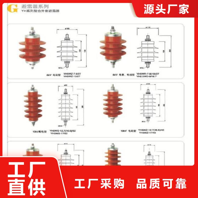 高原型复合避雷器YH10WZ5-51/134GY-J（带计数器）【羿振电力设备】