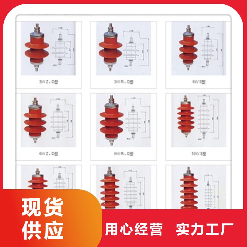 瓷外套金属氧化物避雷器Y10W-108/281浙江羿振电气有限公司