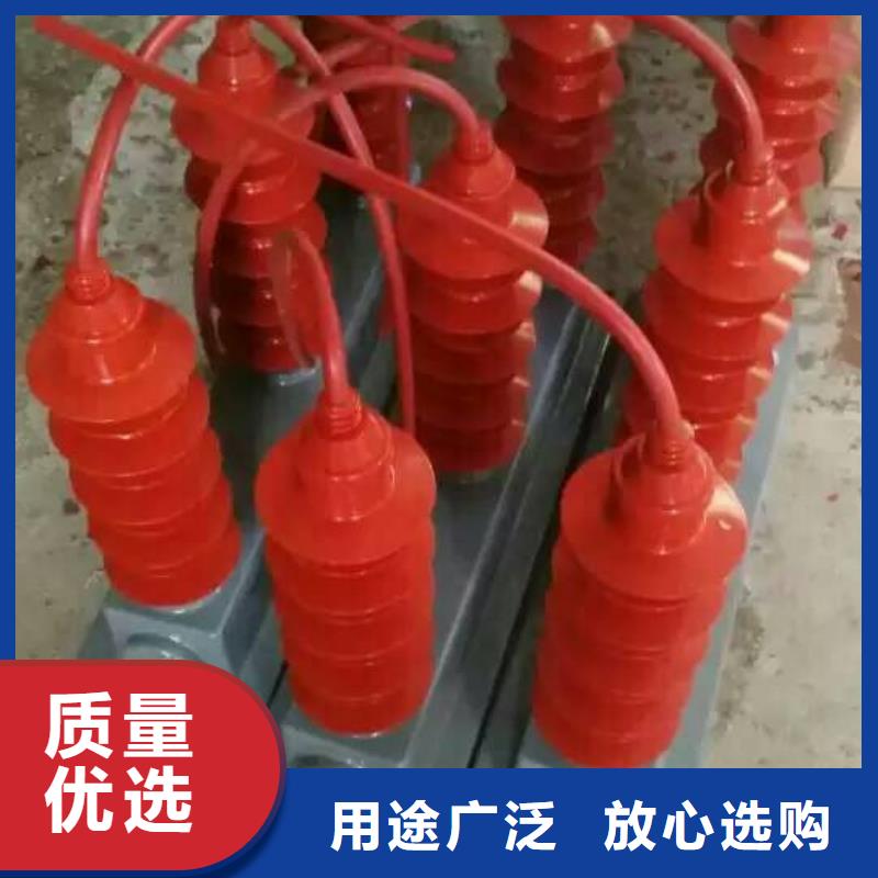 过电压保护器(组合式避雷器)TBP-A-6.3F/85