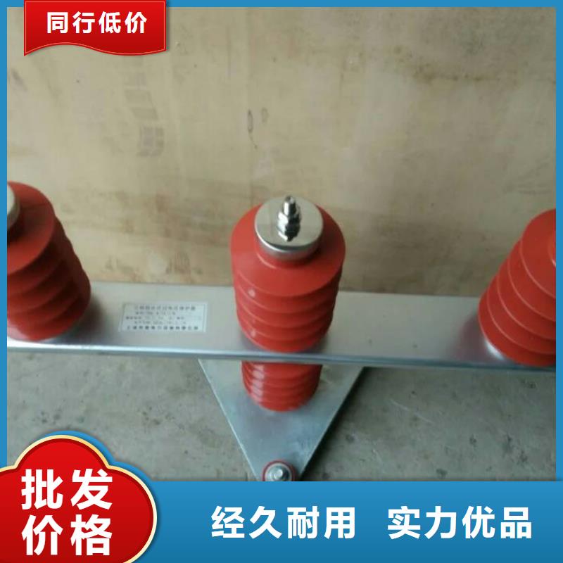 保护器(组合式避雷器)BSTG-A-6.3