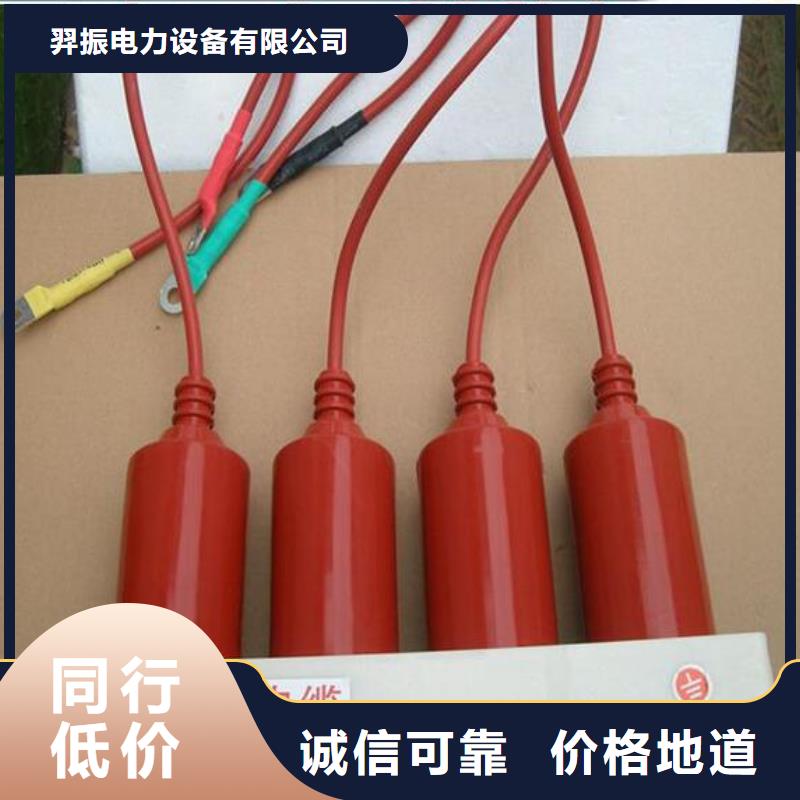 〖过电压保护器〗BSTG-C-42F/630W2现货直供