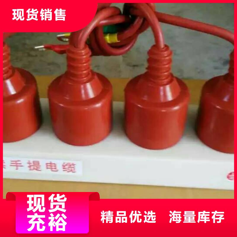 保护器(组合式避雷器)BSTG-O-8