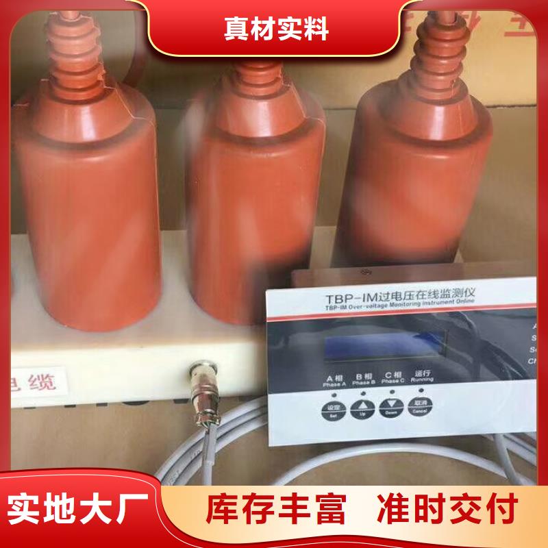 过电压保护器(组合式避雷器)TBP-A-7.6/150-J