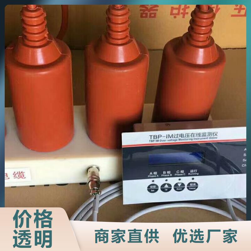 〖过电压保护器〗TBP-Y-C/35-T组合过电压保护器价格优惠