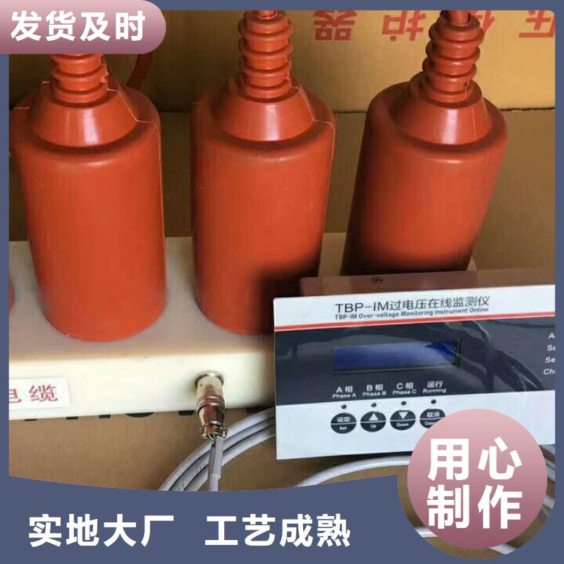 过电压保护器(组合式避雷器)TGB-B-7.6/W