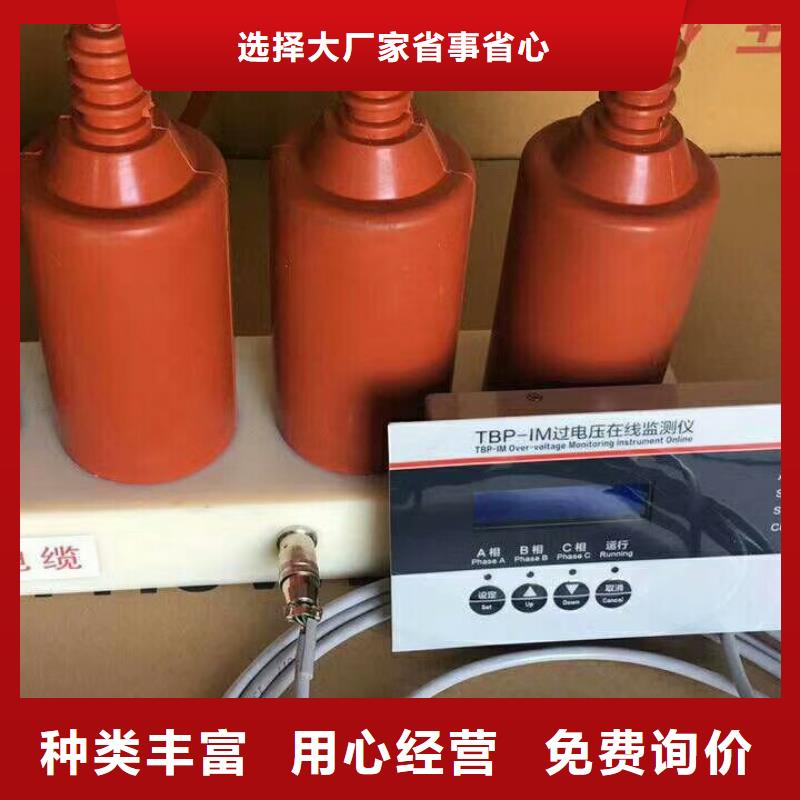 过电压保护器(组合式避雷器)TBP-C-42/400W1