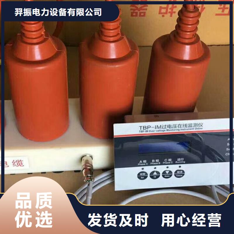 过电压保护器(组合式避雷器)TBP-A-7.6/150-J