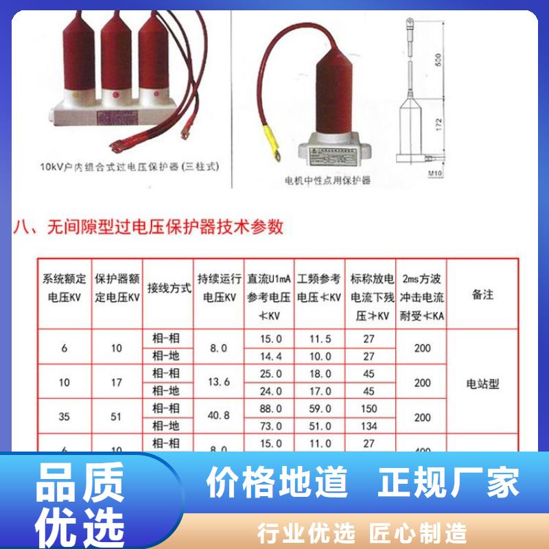 过电压保护器(组合式避雷器)TGB-B-7.6/W