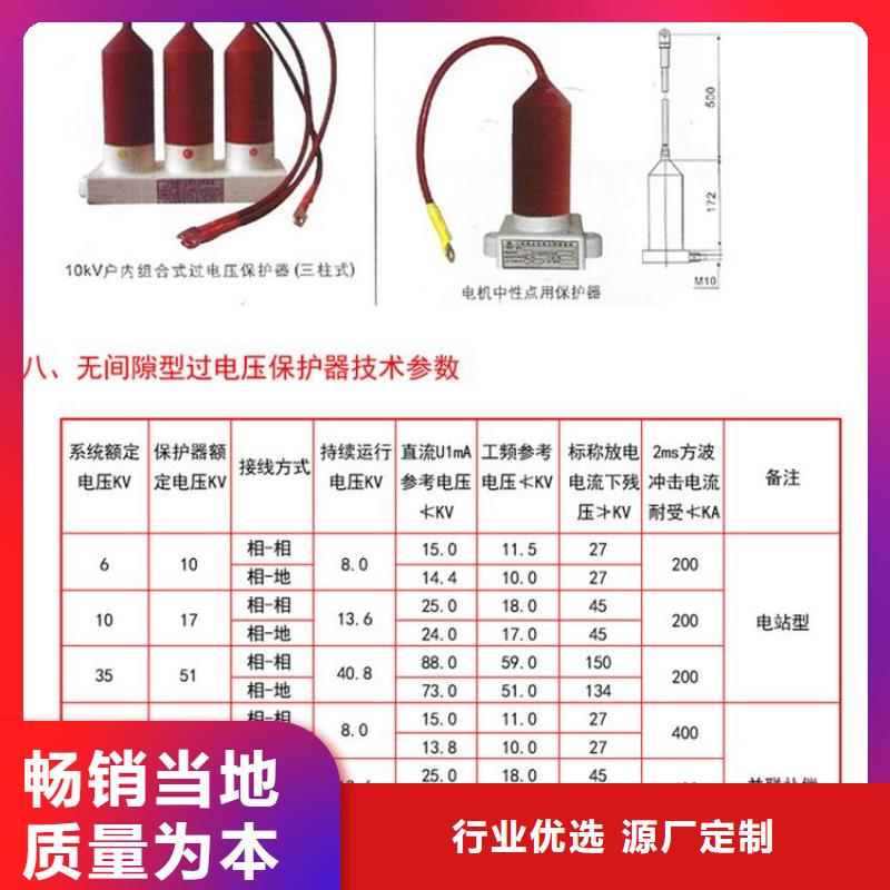 过电压保护器(组合式避雷器)TBP-B-35/F