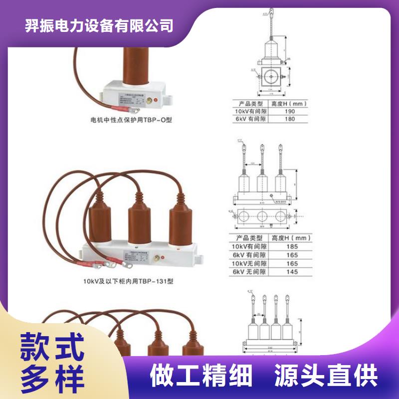 保护器(组合式避雷器)HY5WZ-51/150*51/134