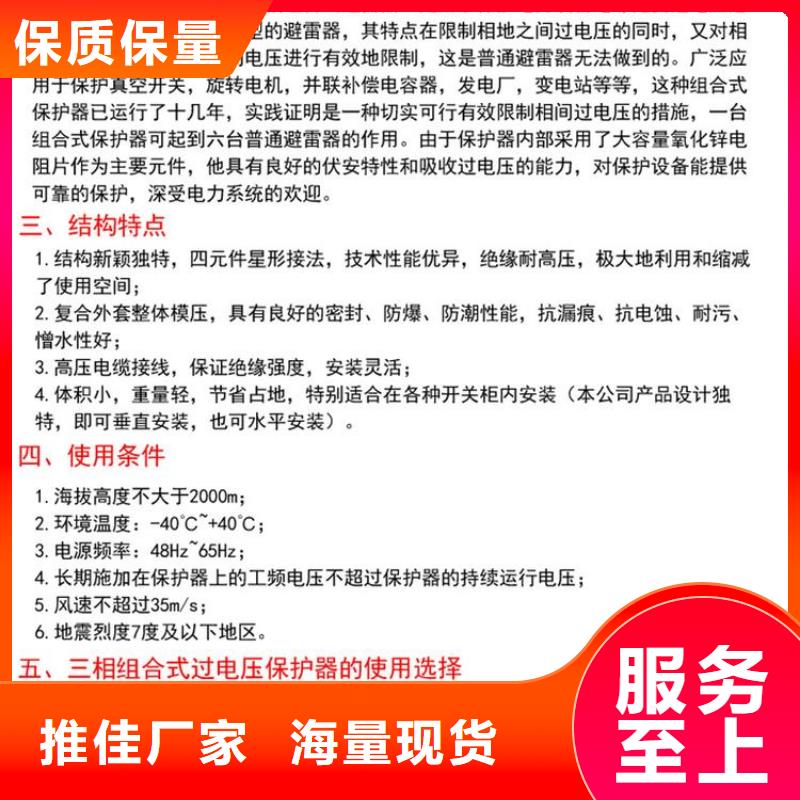 过电压保护器(组合式避雷器)YH5CS-12.7/45*12.7/45