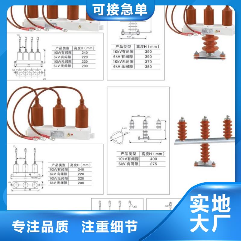 保护器(组合式避雷器)RSB-C/F-6.3/W