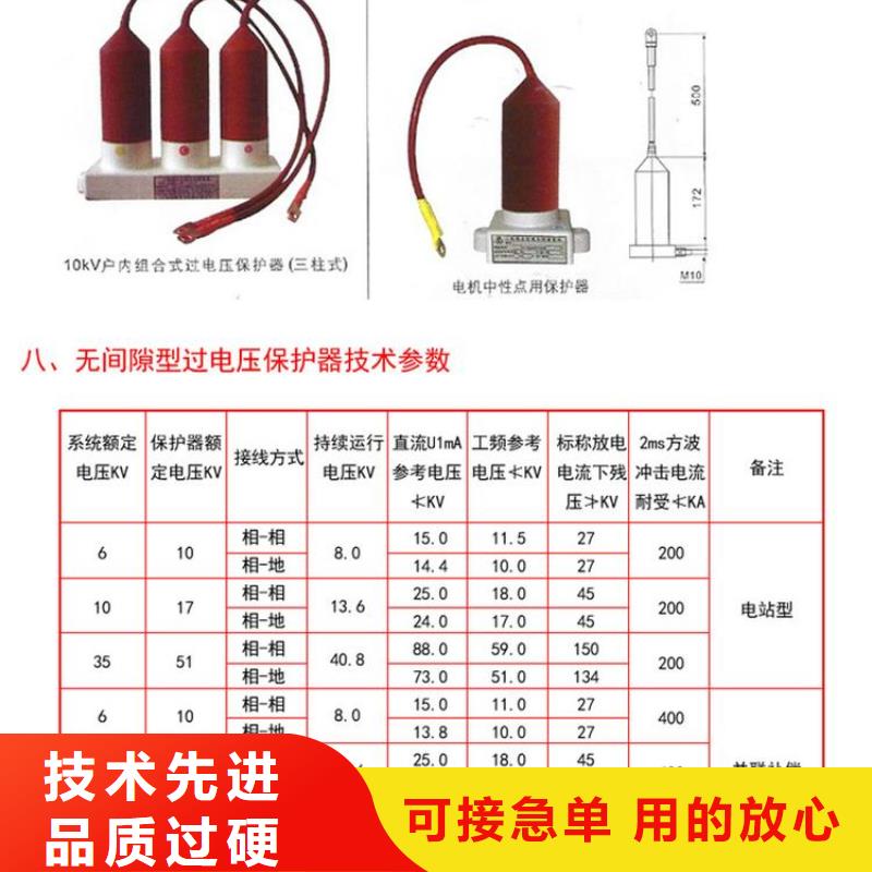 过电压保护器(组合式避雷器)TBP-B-42F/200