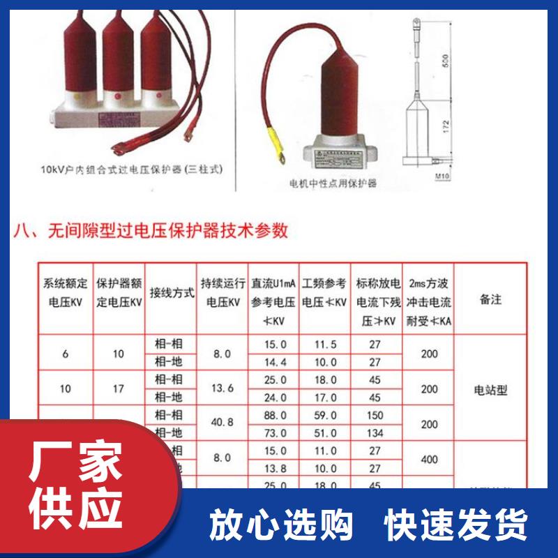 保护器(组合式避雷器)HBP-R-3.8/12