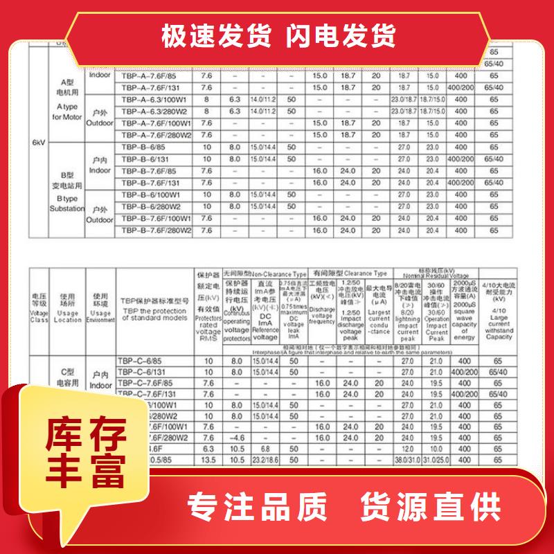 保护器(组合式避雷器)TGB-M-12.7/N