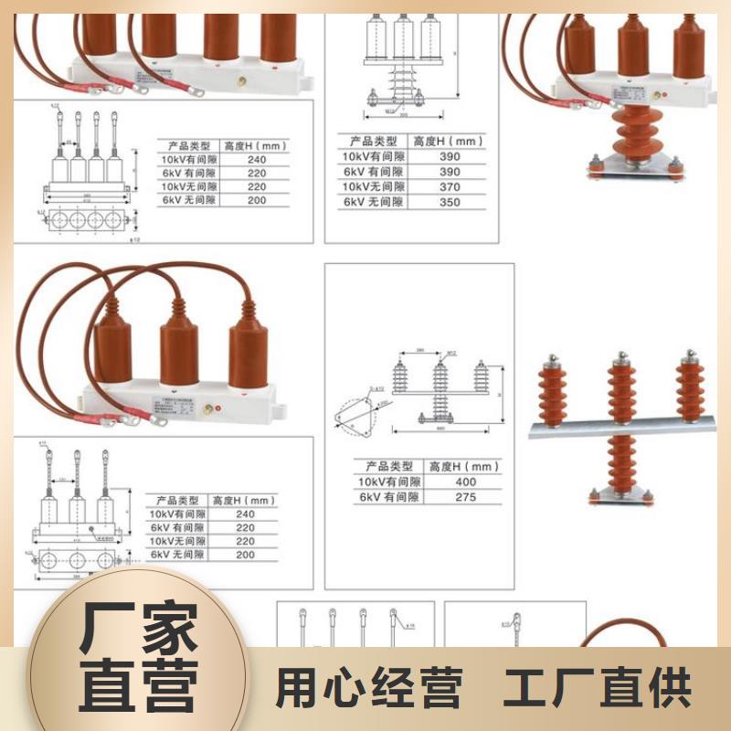 保护器(组合式避雷器)KVB-B-7.6/150-F-J