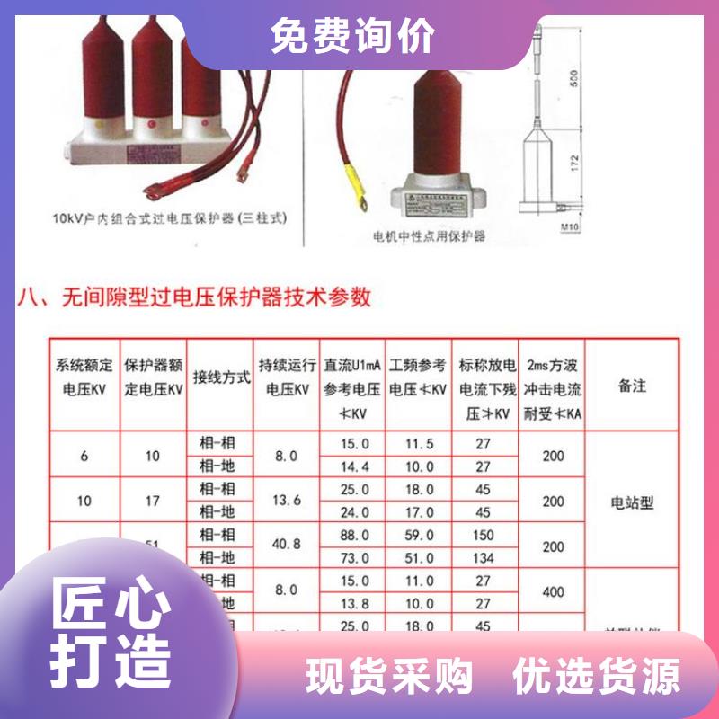 保护器(组合式避雷器)TBP-C-7.6/131